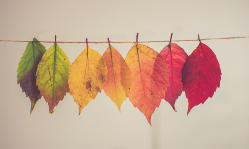 debs davies coaching blog letting go